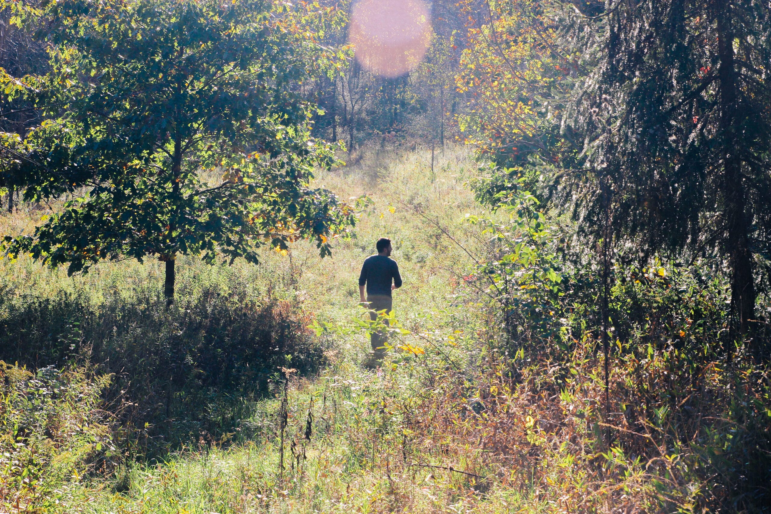 Image of someone walking in a forest.
